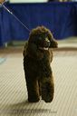 20081129-iwsac-0306