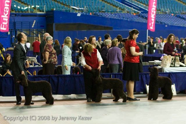 20081129-iwsac-0192.jpg