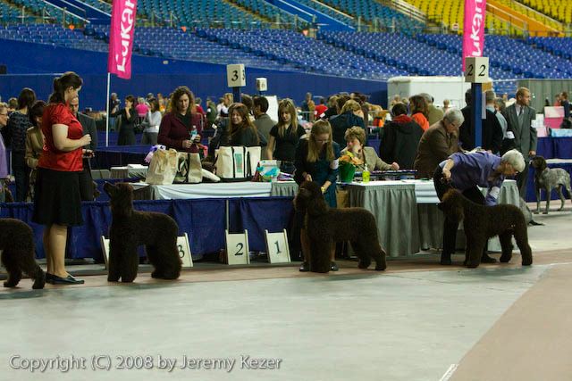 20081129-iwsac-0193.jpg