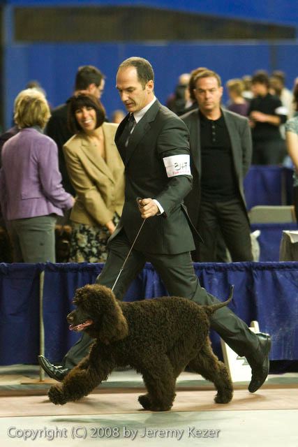20081129-iwsac-0212.jpg