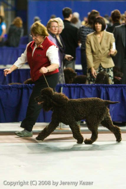 20081129-iwsac-0232.jpg
