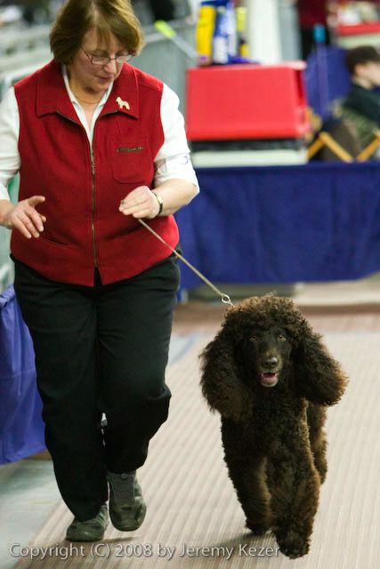 20081129-iwsac-0236.jpg