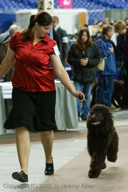 20081129-iwsac-0244.jpg