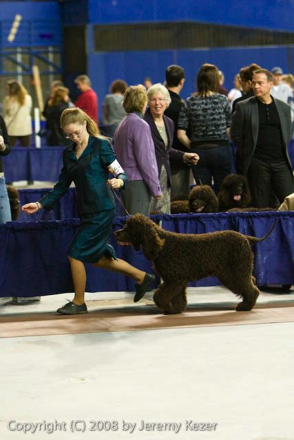 20081129-iwsac-0279.jpg