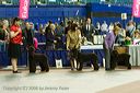 20081129-iwsac-0313