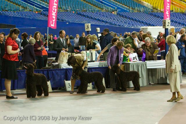 20081129-iwsac-0312.jpg