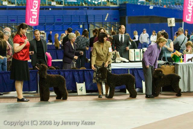 20081129-iwsac-0313.jpg