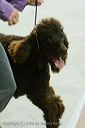 20081129-iwsac-0048