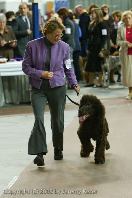 20081129-iwsac-0053.jpg