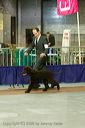 20081129-iwsac-0034