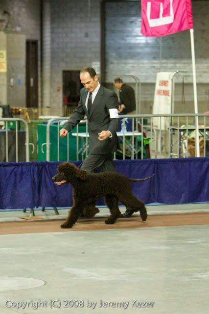 20081129-iwsac-0034.jpg