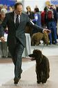 20081129-iwsac-0062