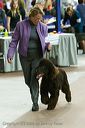 20081129-iwsac-0075
