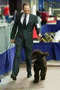 20081129-iwsac-0081