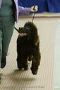 20081129-iwsac-0086