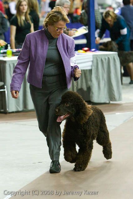 20081129-iwsac-0075.jpg