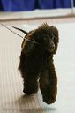 20081129-iwsac-0355