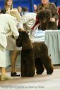20081129-iwsac-0357