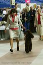 20081129-iwsac-0361