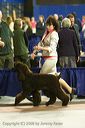 20081129-iwsac-0368