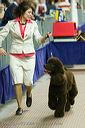20081129-iwsac-0376