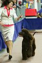 20081129-iwsac-0378