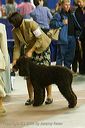 20081129-iwsac-0382