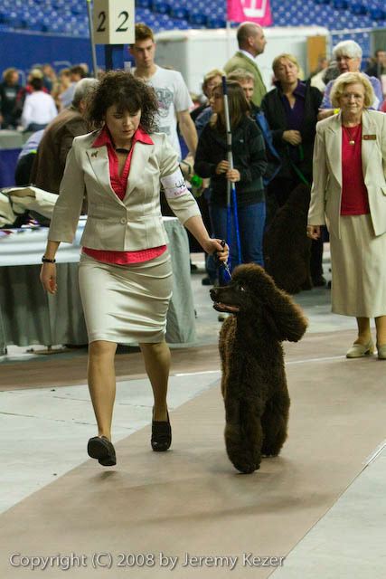 20081129-iwsac-0361.jpg