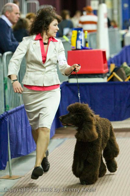 20081129-iwsac-0373.jpg