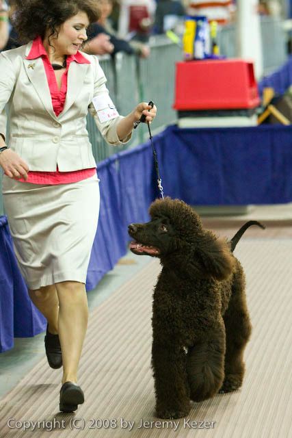 20081129-iwsac-0378.jpg