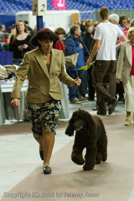 20081129-iwsac-0385.jpg