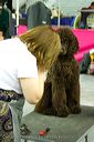 20081129-iwsac-0031