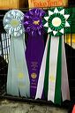 20081129-iwsac-0456