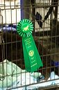 20081129-iwsac-0461