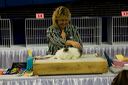 20081129-iwsac-0481