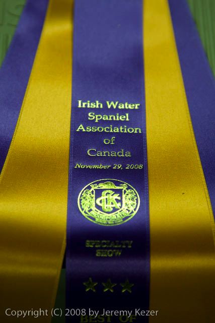 20081129-iwsac-0015.jpg