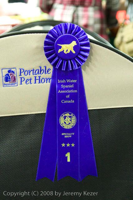 20081129-iwsac-0455.jpg