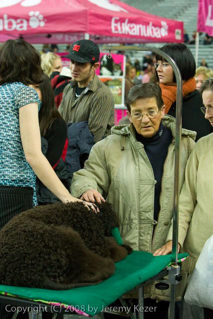 20081129-iwsac-0565.jpg