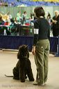 20081129-iwsac-0893
