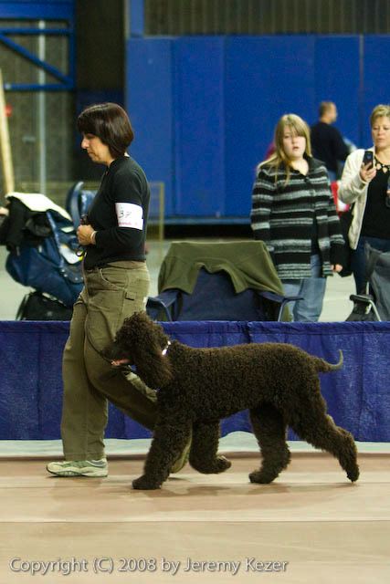 20081129-iwsac-0876.jpg