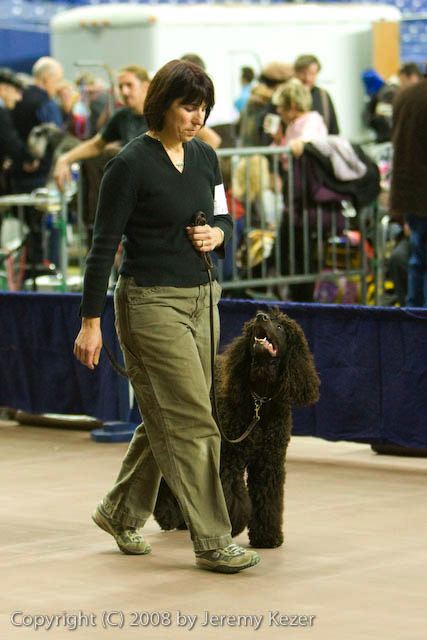 20081129-iwsac-0879.jpg