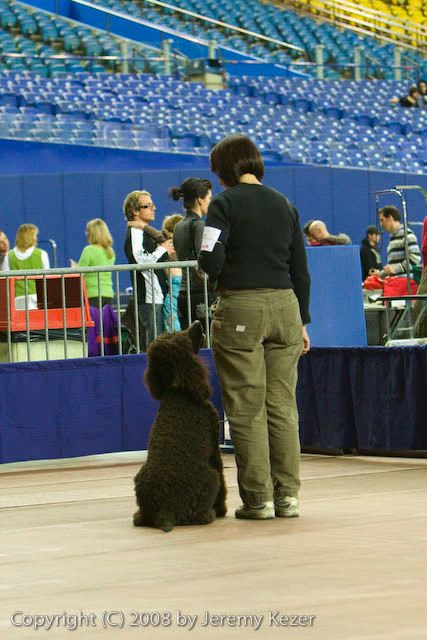 20081129-iwsac-0880.jpg