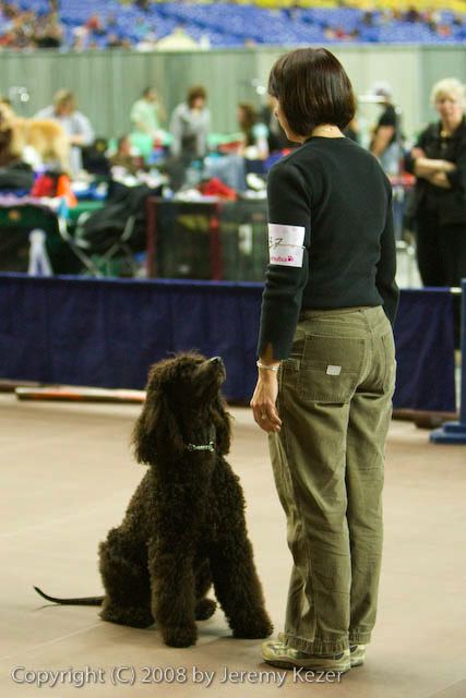 20081129-iwsac-0893.jpg