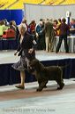 20081129-iwsac-0630