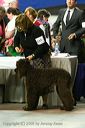 20081129-iwsac-0617