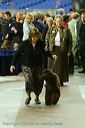 20081129-iwsac-0618