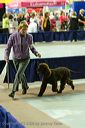 20081129-iwsac-0628