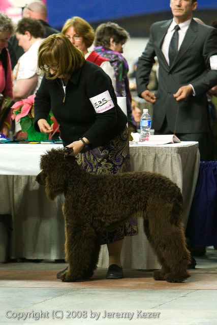 20081129-iwsac-0617.jpg