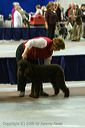 20081129-iwsac-0664