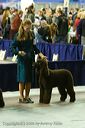 20081129-iwsac-0668